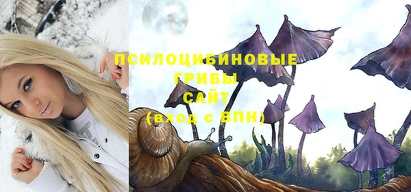 МДМА Новодвинск