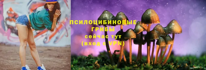 blacksprut ТОР  сайты даркнета наркотические препараты  Псилоцибиновые грибы Psilocybe  цены наркотик  Кореновск 